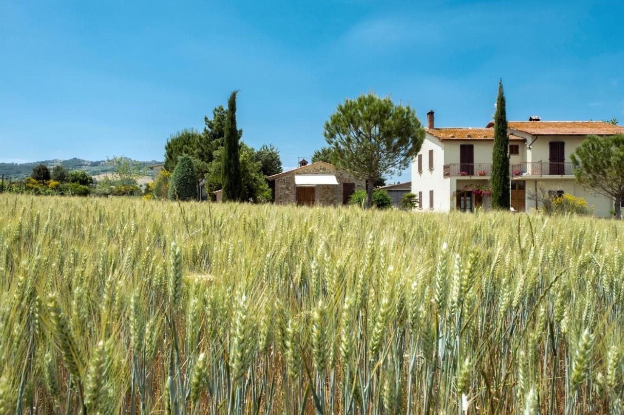 Agriturismo San Marcello Castiglione dʼOrcia Extérieur photo
