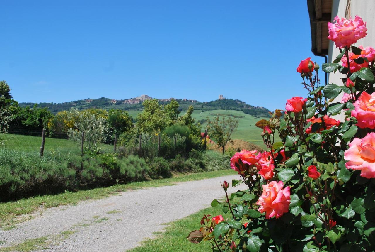 Agriturismo San Marcello Castiglione dʼOrcia Extérieur photo